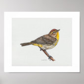 Palm Warbler Art Print (Voorkant)