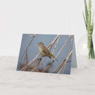 Palm Warbler - Wenskaart van de achtertuin Kaart