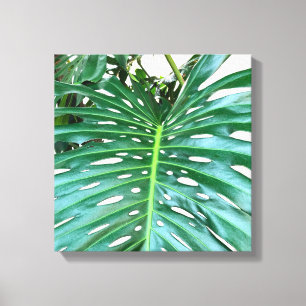 Palmblad, tropisch gebladerte, oerwoud regenwoud canvas afdruk