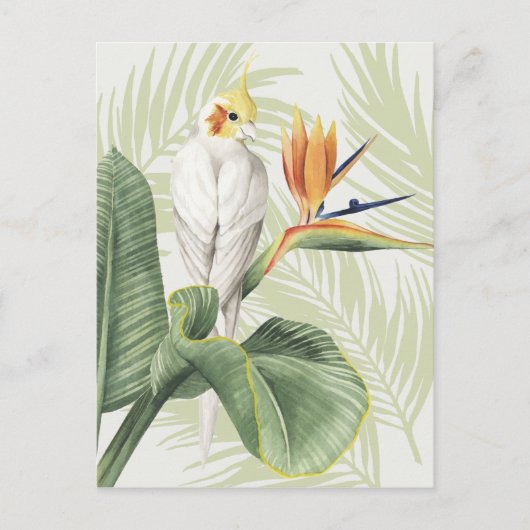 Palmbladeren met witte vogel briefkaart (Voorkant)