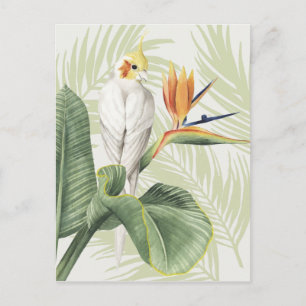 Palmbladeren met witte vogel briefkaart