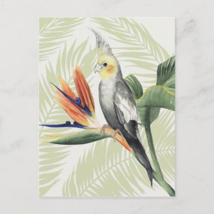 Palmbladeren met zwarte vogel briefkaart