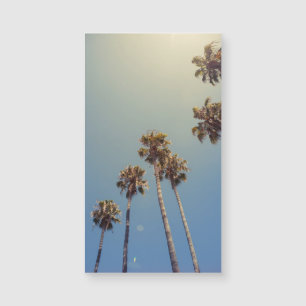 Palmbomen