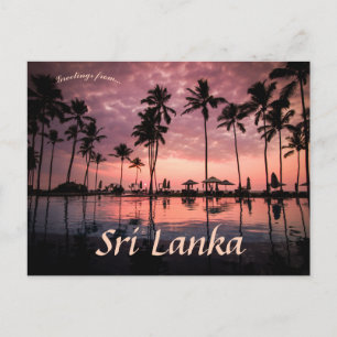 Palmbomen bij Negombo Beach Sri Lanka Briefkaart