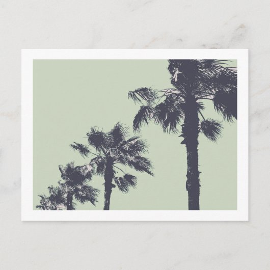  palmbomen briefkaart (Voorkant)