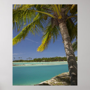 Palmbomen en lagune, Musket Cove Island Resort Poster