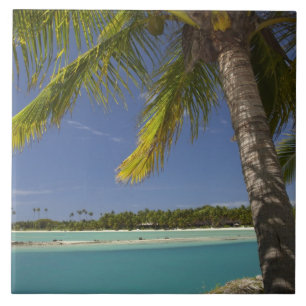 Palmbomen en lagune, Musket Cove Island Resort Tegeltje