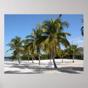 Palmbomen en perforatie poster