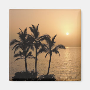 Palmbomen en Romantische zonnebank Magneet