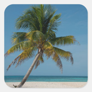 Palmbomen en wit zand strand vierkante sticker