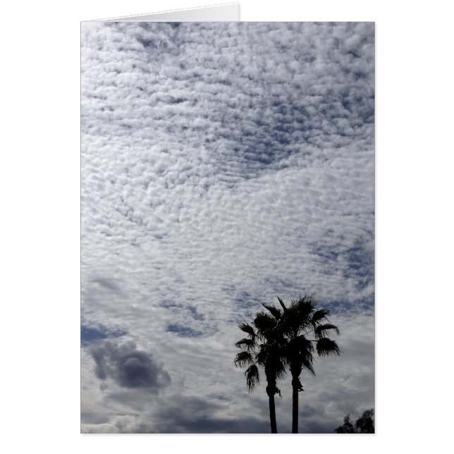Palmbomen en wolken (Voorkant)