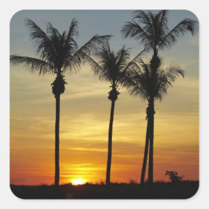Palmbomen en zonsondergang, Mindil Beach Vierkante Sticker
