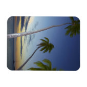 Palmbomen en zonsondergang, Plantation Island Reso Magneet (Horizontaal)