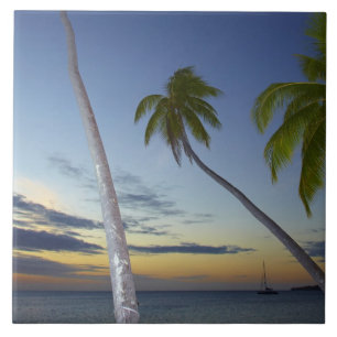 Palmbomen en zonsondergang, Plantation Island Reso Tegeltje