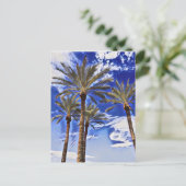 Palmbomen hoog briefkaart (Staand voorkant)