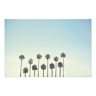Palmbomen in Californië Foto Afdruk