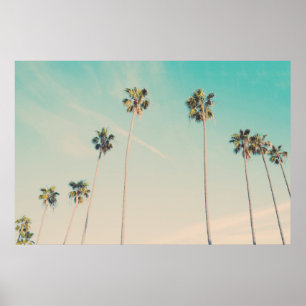 Palmbomen in de windfoto poster