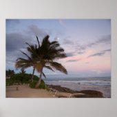 Palmbomen in het Paradijs Poster (Voorkant)