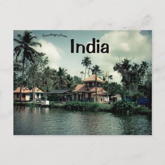Palmbomen in Kerala India Briefkaart (Voorkant)