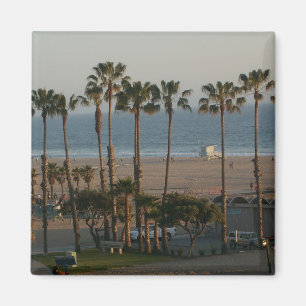 Palmbomen in Santa Monica Magnet Magneet