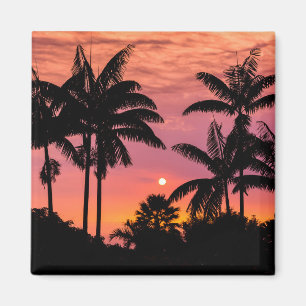 Palmbomen in silhouet, Hawaï Magneet