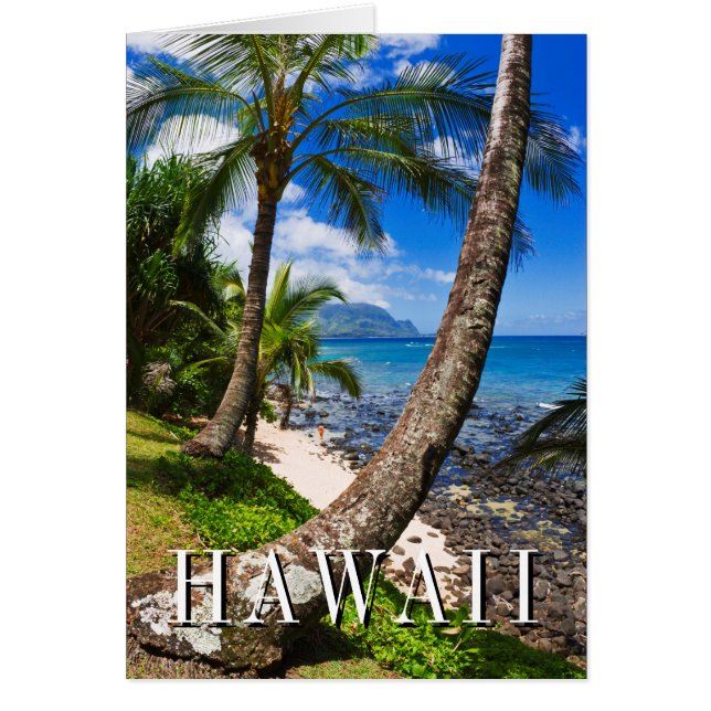 Palmbomen langs Hideaways Beach (Voorkant)