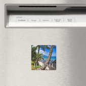 Palmbomen langs Hideaways Beach Magneet (Insitu (Vaatwasser))