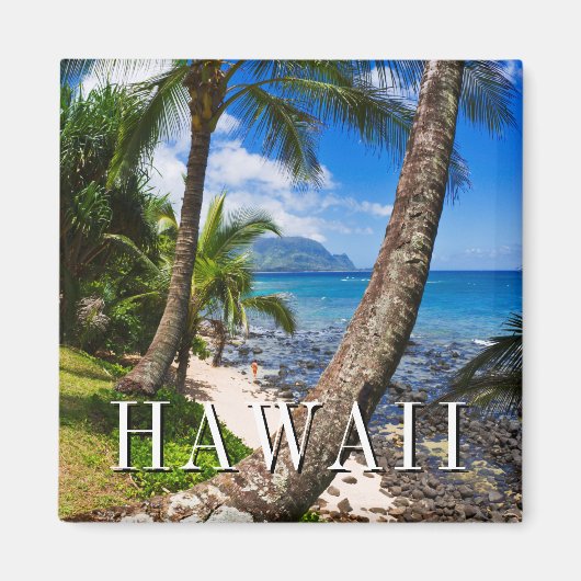 Palmbomen langs Hideaways Beach Magneet (Voorkant)