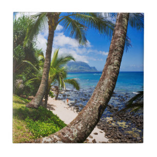 Palmbomen langs Hideaways Beach Tegeltje