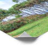 Palmbomen lopen in Hawaï Poster (Hoek)