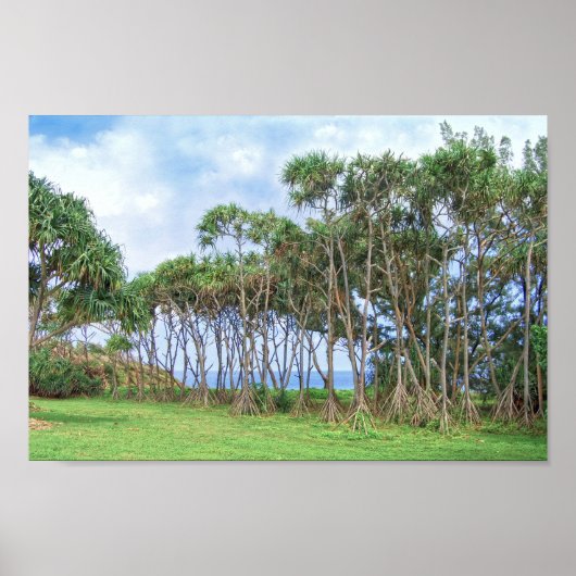 Palmbomen lopen in Hawaï Poster (Voorkant)