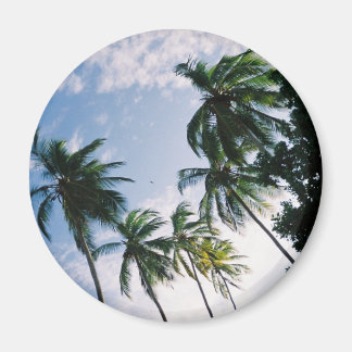 Palmbomen magneet