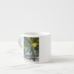 Palmbomen, Nationaal Historisch Park Pu'uhonua o Espresso Kop