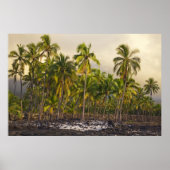 Palmbomen, nationaal historisch park Pu'uhonua o Poster (Voorkant)