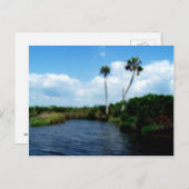 Palmbomen op de rivier briefkaart (Voorkant / Achterkant)