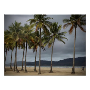 Palmbomen op Gonzaga Beach, Santos, Brazilië Perfect Poster