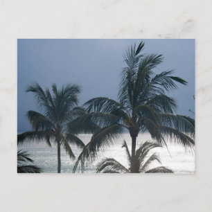 palmbomen op het strand briefkaart