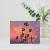Palmbomen op het Sunset briefkaart (Staand voorkant)