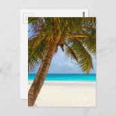 Palmbomen op strand Blue Zee & Sky Briefkaart (Voorkant / Achterkant)