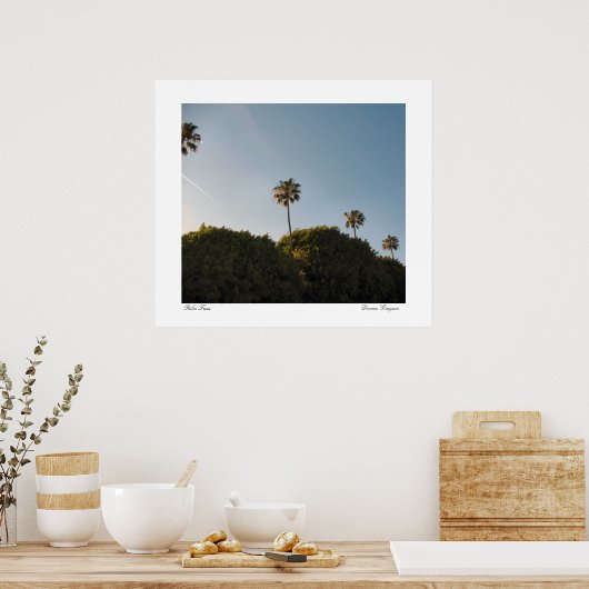 Palmbomen Poster (Keuken)