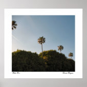 Palmbomen Poster (Voorkant)