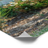 Palmbomen Poster voor siergras (Hoek)