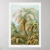  palmbomen, Retro botanisch Poster (Voorkant)