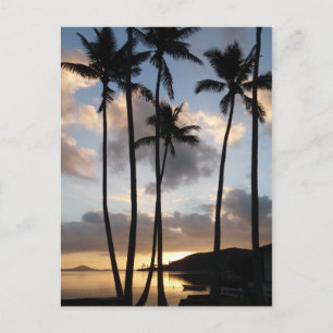 Palmbomen Silhouettes in Hawaii Briefkaart