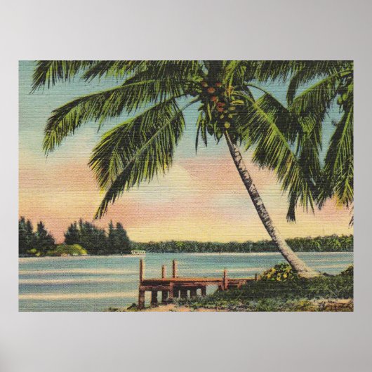 palmbomen vintage poster (Voorkant)