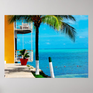 Palmboom aan de voorkant van een huis door het Zee Poster