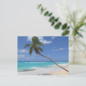 Palmboom Barbados Briefkaart (Staand voorkant)