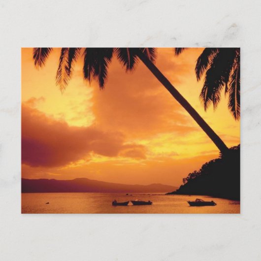 Palmboom boven water briefkaart (Voorkant)