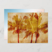 Palmboom  briefkaart (Voorkant / Achterkant)