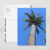 Palmboom Briefkaart (Voorkant / Achterkant)